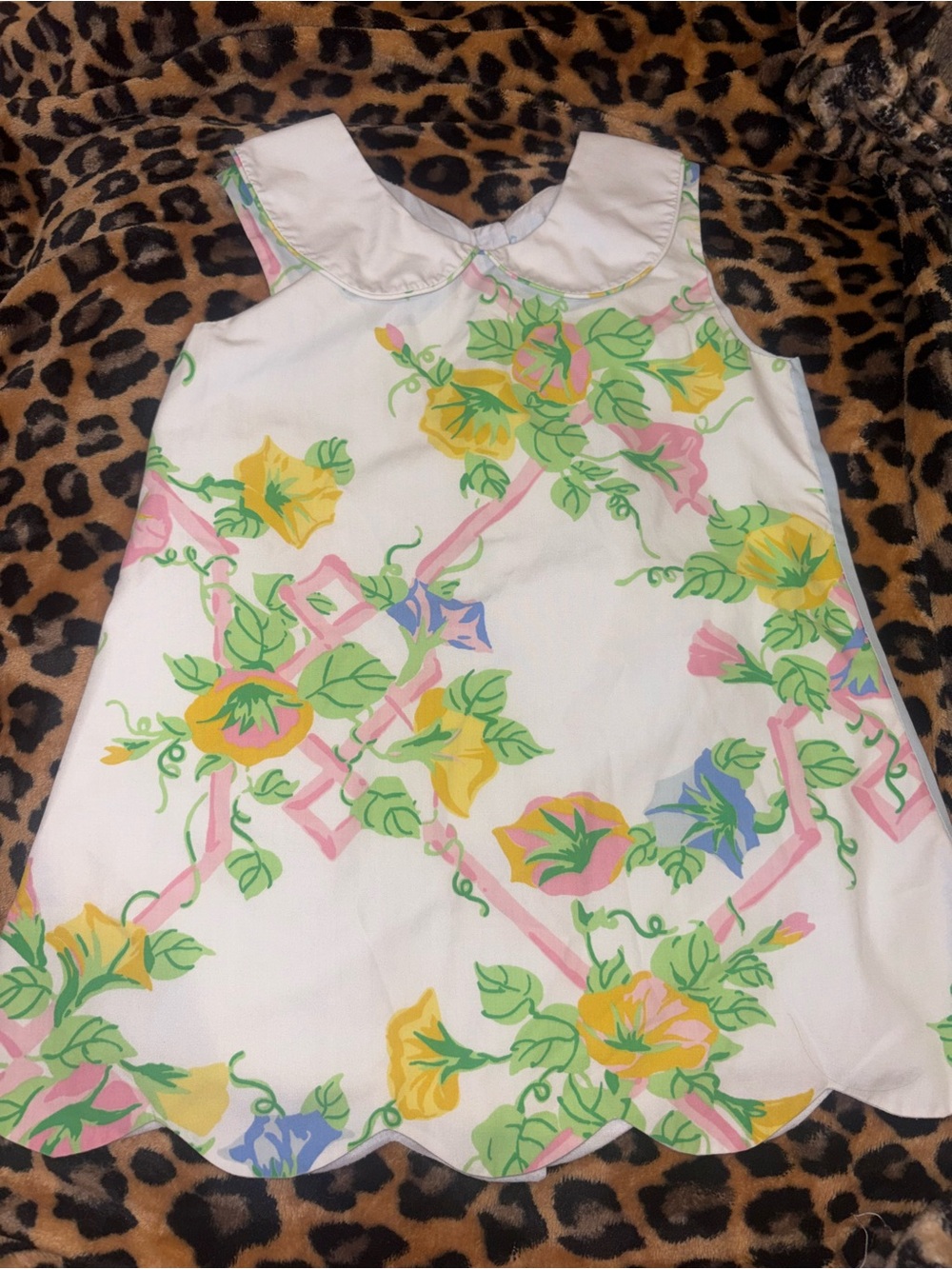 The Beaufort Bonnet Company TBBC Marietta Morning Glory Floral Scalloped Dress 4